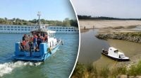Води Дунаю відступили: на дні річки несподівано знайшли стародавнього гіганта