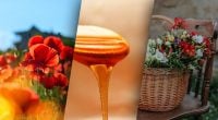 1 августа - Медовый Спас: что можно и нельзя делать на праздник