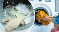 Скільки циклів прання на день витримує пральна машина: відповідь здивує багатьох