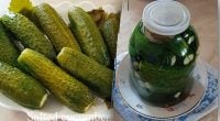 Через 3 дні чи 3 тижні: через скільки днів можна їсти мариновані огірки