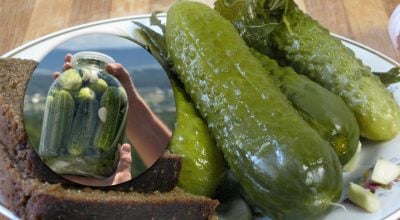 Малосольные огурцы всегда будут хрустящими: что нужно положить в банку Малосольные огурцы всегда будут хрустящими: что нужно положить в банку