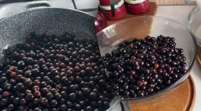 Не только варенье — 4 неожиданных способа приготовить смородину