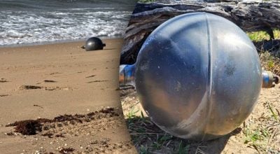 Поява незвичайного предмета на пляжі викликала великий ажіотаж серед місцевих жителів