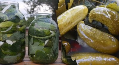 Квашені огірки Квашені огірки