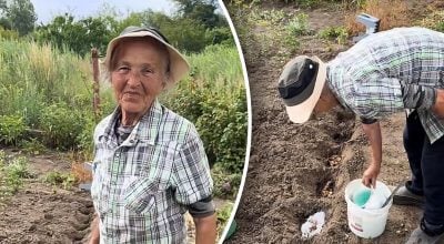 Другий урожай з'явиться восени: городниця розповіла, що посадити в липні