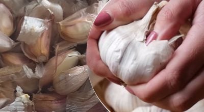 Шкірка сама зісковзне із зубчиків часнику за секунди: чим потрібно їх залити Шкірка сама зісковзне із зубчиків часнику за секунди: чим потрібно їх залити