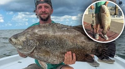 Рибалка виловив гігантську трихвосту рибу Рибалка виловив гігантську трихвосту рибу
