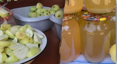 Вкуснее магазинного: как легко заготовить яблочный "Живчик" на зиму