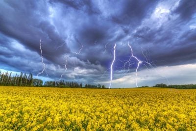 Україну накриє спека до +31 з грозами: коли погода різко зміниться