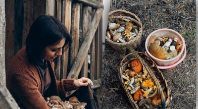 По гриби краще не ходити - коли народні прикмети радять залишитися вдома