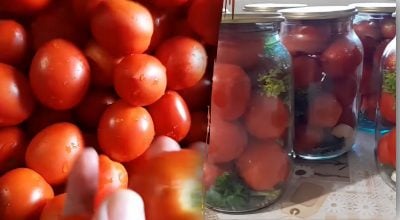 Що зробити, аби помідори не тріскалися в банці: прості кулінарні лайфхаки