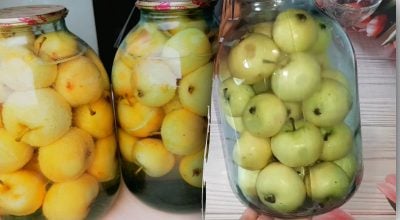 Консервування яблук