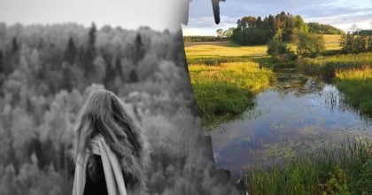 Народні прикмети 11 липня: що віщують погода, бджоли та нічні Стожари