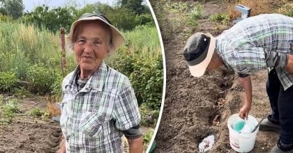 Другий урожай з'явиться восени: городниця розповіла, що посадити в липні