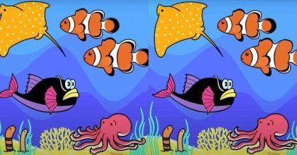 Тест на IQ: потрібно знайти 3 відмінності на картинці морських істот за 11 с