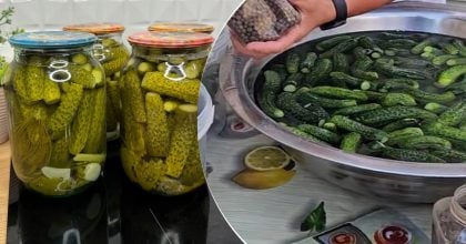 Секрет хрустких огірків розкрито: що потрібно зробити перед консервацією