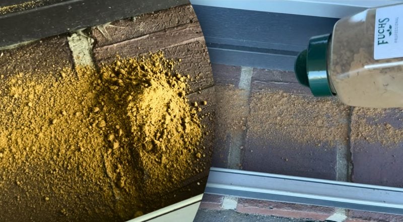 Эксперты призвали сыпать корицу под двери и окна – в чем причина