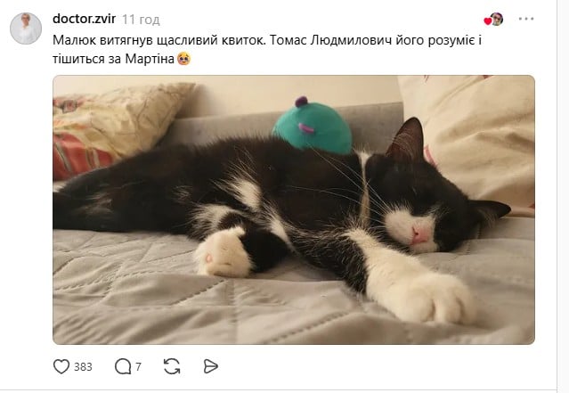 Українці у Китаї врятували руде кошеня, яке покинули вмирати на дорозі Українці у Китаї врятували руде кошеня, яке покинули вмирати на дорозі