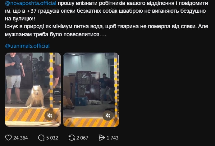 пост о собаке пост о собаке