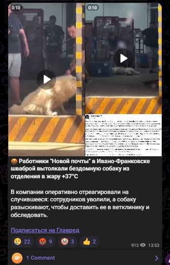 Скрин из тг Скрин из тг