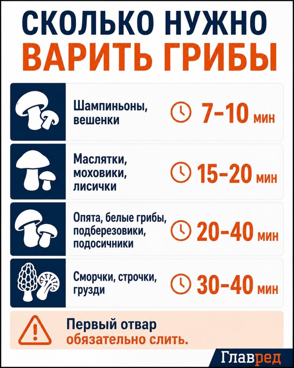Сколько нужно варить грибы Сколько нужно варить грибы