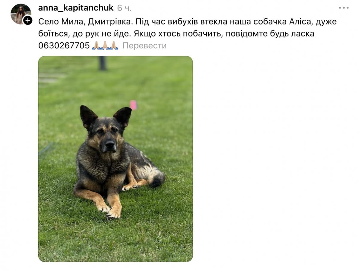 Скриншот