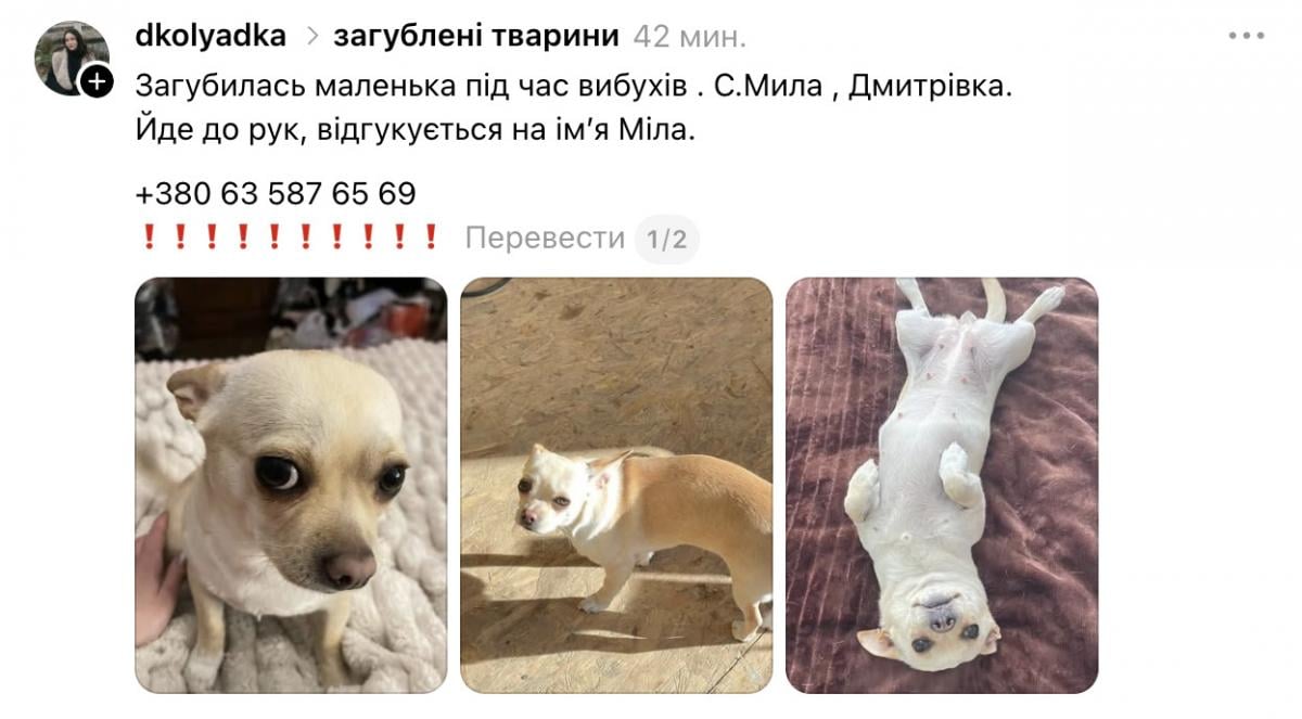 Скриншот 
