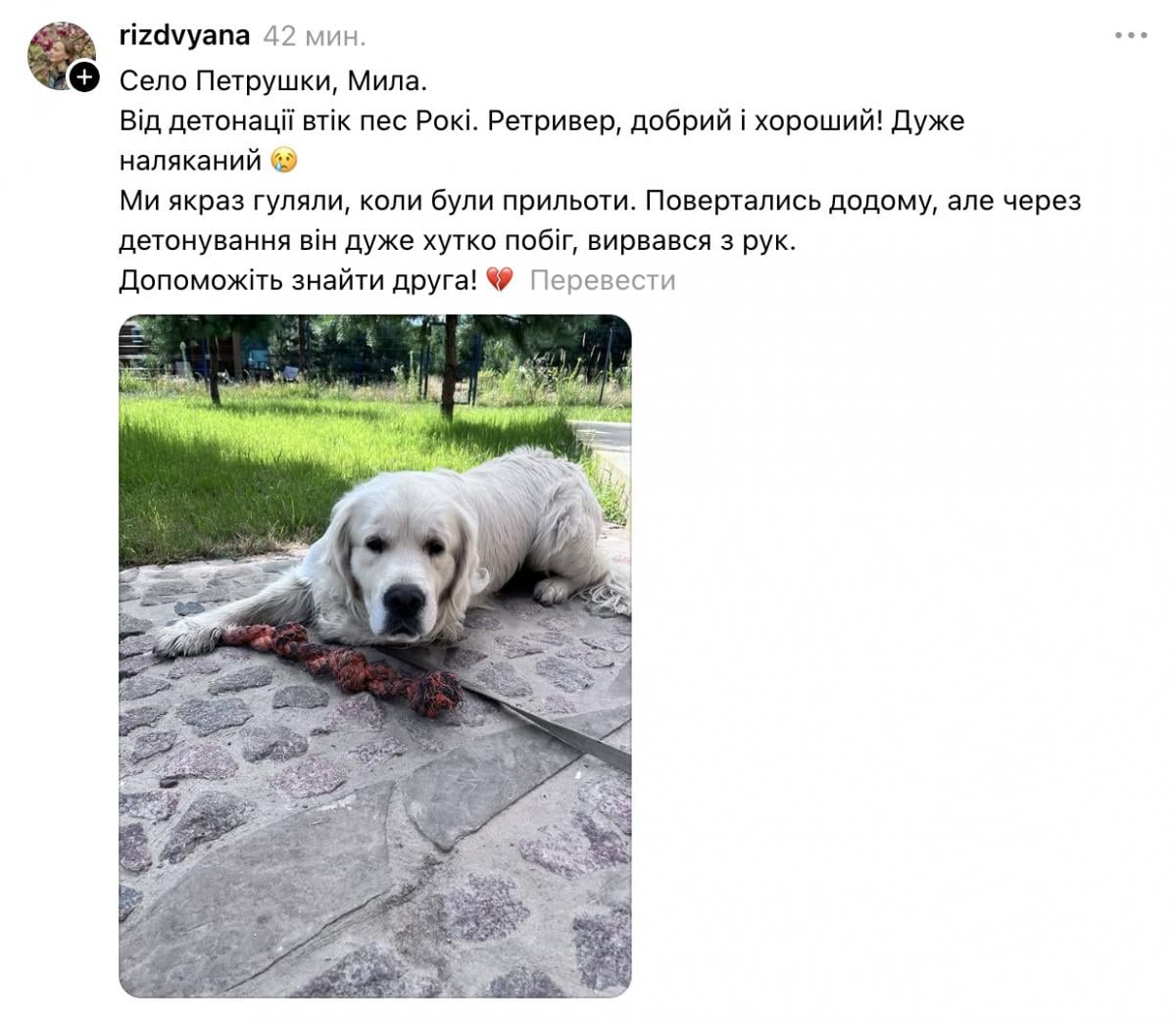Скриншот