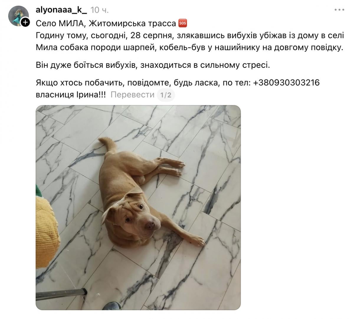 скриншот