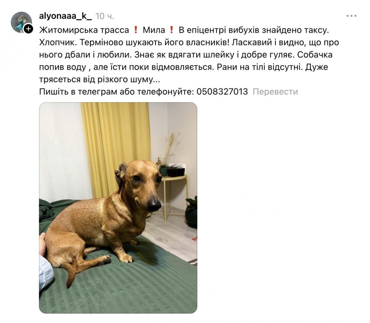 Скриншот