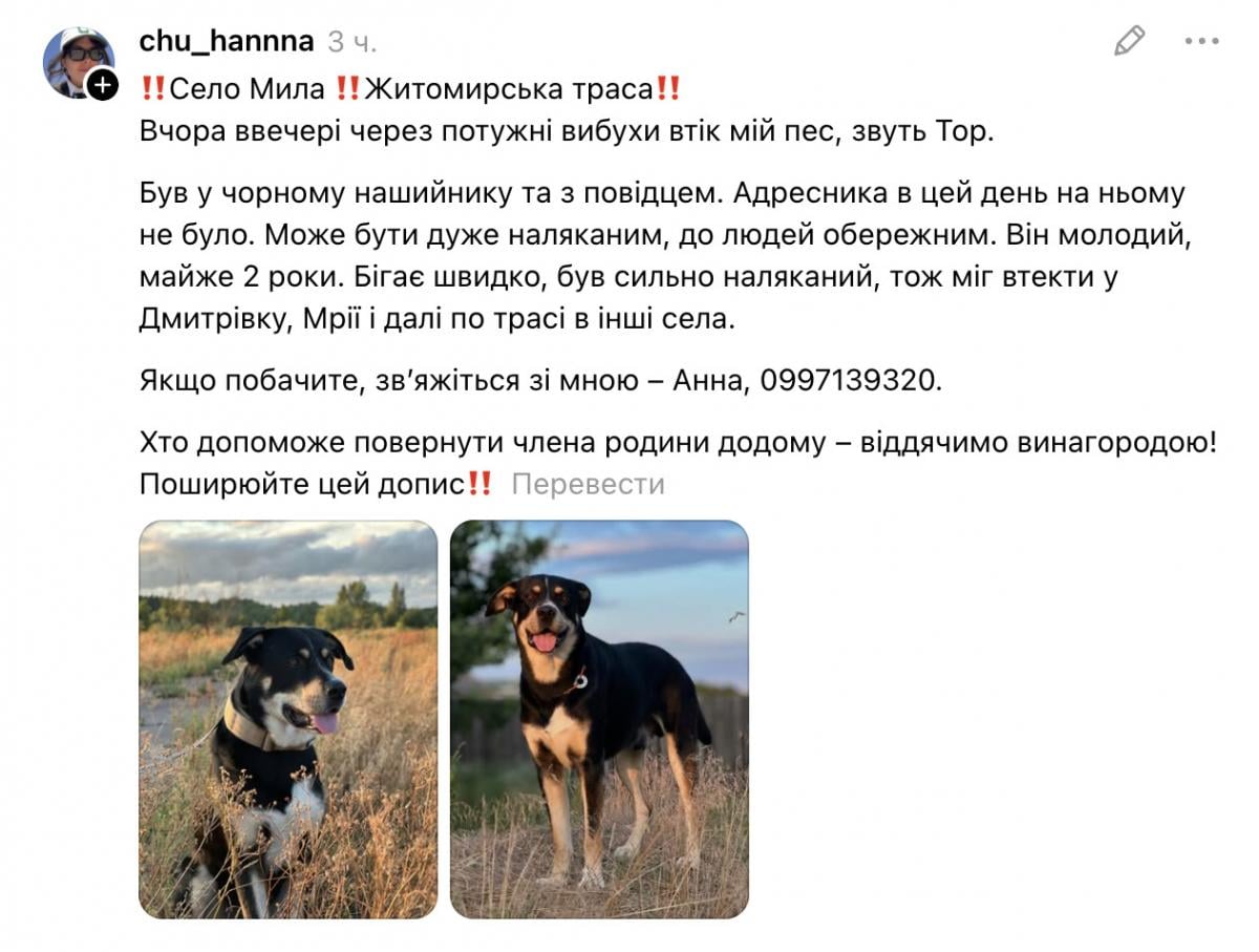 Скриншот