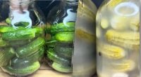 Порожні всередині — яка помилка під час закрутки псує огірки