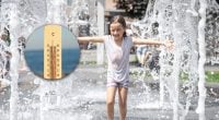 Україну накриють пекельні +40°C: скільки днів триватиме аномальна спека