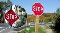 У одному місті знаки Стоп зникли назавжди: чому їх більше не встановлюють