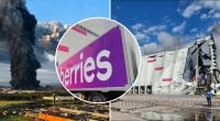 200 млрд убытков и риск краха банков РФ: чем обернулись атаки ВСУ на Wildberries