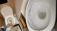 Що потрібно зробити з унітазом перед від'їздом на кілька днів - лайфхак