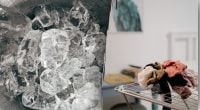Зачем класть кубики льда в сушилку: результат удивит даже опытных хозяек
