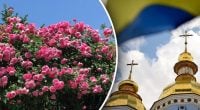 Почему 8 августа нельзя жаловаться на жизнь: какой церковный праздник