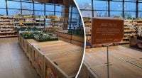 Полки в супермаркетах опустели: грозит ли Украине дефицит продуктов и скачок цен