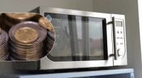Под микроволновку и кофеварку рекомендуют подложить монеты: зачем это нужно