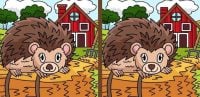 Тест на IQ: нужно найти четыре отличия на картинке с ежиком за 8 с
