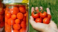 Маринованные помидоры черри: вкусный рецепт за несколько минут без варки
