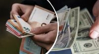 Долар та євро можуть здивувати: банкір розповів, чого чекати найближчим часом