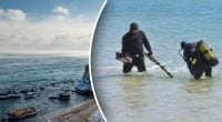 Азовське море гине через війну: яка риба може зникнути назавжди