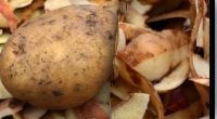Зачем замораживать картофельную шелуху: хитрость, о которой знают лишь единицы