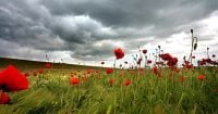 +33 зміняться на +17: синоптикиня попередила про різке похолодання в Україні