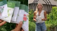 Что не поздно сажать в августе: список культур, которые успеют дать урожай