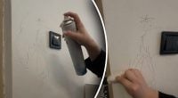 Комната будет выглядеть как после ремонта: как за минуту отмыть стены в доме