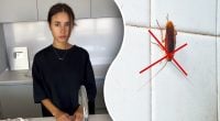 Тараканы могут вернуться: что нужно убрать из дома в первую очередь