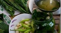 Чтобы банки не испортились: какую зелень стоит добавлять в консервы